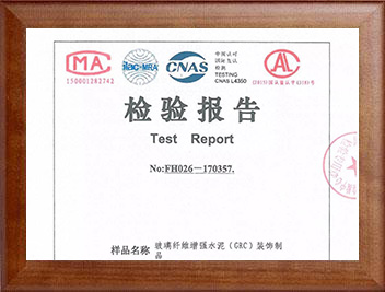 檢驗(yàn)報告